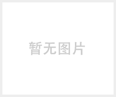 C1～C7显微镜测微尺